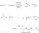 Fig. 48 - Sequence-controlled oligosiloxane and manufacturing method and oligosiloxane synthesizer therefor