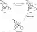Fig. 01 - Compounds for use as iron(III) MRI contrast agents