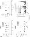 Fig. 13 - Compounds for use as iron(III) MRI contrast agents