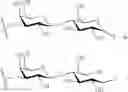 Fig. 115 - GLYCOPOLYMERS SEQUESTERING CARBOHYDRATE-BINDING PROTEINS