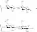 Fig. 136 - GLYCOPOLYMERS SEQUESTERING CARBOHYDRATE-BINDING PROTEINS