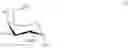 Fig. 16 - GLYCOPOLYMERS SEQUESTERING CARBOHYDRATE-BINDING PROTEINS