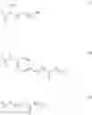 Fig. 192 - GLYCOPOLYMERS SEQUESTERING CARBOHYDRATE-BINDING PROTEINS
