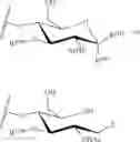 Fig. 22 - GLYCOPOLYMERS SEQUESTERING CARBOHYDRATE-BINDING PROTEINS