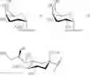 Fig. 23 - GLYCOPOLYMERS SEQUESTERING CARBOHYDRATE-BINDING PROTEINS