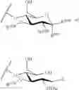 Fig. 26 - GLYCOPOLYMERS SEQUESTERING CARBOHYDRATE-BINDING PROTEINS