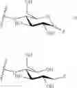 Fig. 261 - GLYCOPOLYMERS SEQUESTERING CARBOHYDRATE-BINDING PROTEINS