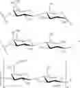 Fig. 28 - GLYCOPOLYMERS SEQUESTERING CARBOHYDRATE-BINDING PROTEINS