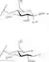Fig. 303 - GLYCOPOLYMERS SEQUESTERING CARBOHYDRATE-BINDING PROTEINS