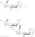 Fig. 33 - GLYCOPOLYMERS SEQUESTERING CARBOHYDRATE-BINDING PROTEINS