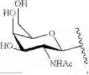 Fig. 37 - GLYCOPOLYMERS SEQUESTERING CARBOHYDRATE-BINDING PROTEINS