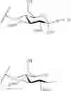 Fig. 48 - GLYCOPOLYMERS SEQUESTERING CARBOHYDRATE-BINDING PROTEINS