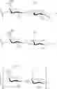 Fig. 50 - GLYCOPOLYMERS SEQUESTERING CARBOHYDRATE-BINDING PROTEINS