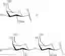 Fig. 56 - GLYCOPOLYMERS SEQUESTERING CARBOHYDRATE-BINDING PROTEINS
