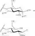 Fig. 70 - GLYCOPOLYMERS SEQUESTERING CARBOHYDRATE-BINDING PROTEINS