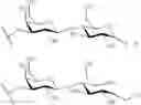 Fig. 71 - GLYCOPOLYMERS SEQUESTERING CARBOHYDRATE-BINDING PROTEINS
