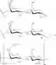 Fig. 72 - GLYCOPOLYMERS SEQUESTERING CARBOHYDRATE-BINDING PROTEINS