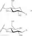 Fig. 80 - GLYCOPOLYMERS SEQUESTERING CARBOHYDRATE-BINDING PROTEINS