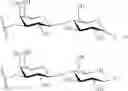 Fig. 93 - GLYCOPOLYMERS SEQUESTERING CARBOHYDRATE-BINDING PROTEINS