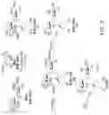 Fig. 04 - Large scale preparation of pseudo-trisaccharide aminoglycosides and of intermediates thereof