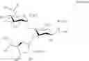 Fig. 09 - Large scale preparation of pseudo-trisaccharide aminoglycosides and of intermediates thereof