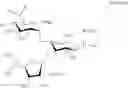 Fig. 18 - Large scale preparation of pseudo-trisaccharide aminoglycosides and of intermediates thereof