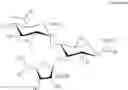 Fig. 37 - Large scale preparation of pseudo-trisaccharide aminoglycosides and of intermediates thereof