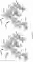 Fig. 03 - Amylase inhibitor compounds, methods of their use and compositions thereof