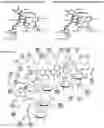 Fig. 08 - Amylase inhibitor compounds, methods of their use and compositions thereof