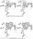 Fig. 12 - Amylase inhibitor compounds, methods of their use and compositions thereof