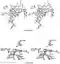 Fig. 13 - Amylase inhibitor compounds, methods of their use and compositions thereof