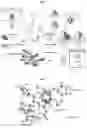 Fig. 02 - UV-B absorbing compounds isolated from plants