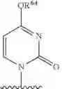 Fig. 70 - Substituted nucleosides, nucleotides and analogs thereof
