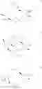 Fig. 04 - Cyclic dinucleotides as anticancer agents