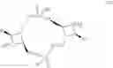 Fig. 174 - Cyclic dinucleotides as anticancer agents