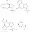 Fig. 26 - Cyclic dinucleotides as anticancer agents