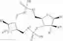 Fig. 33 - Cyclic dinucleotides as anticancer agents