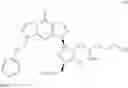 Fig. 335 - Cyclic dinucleotides as anticancer agents