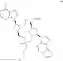 Fig. 352 - Cyclic dinucleotides as anticancer agents