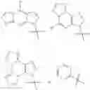 Fig. 41 - Cyclic dinucleotides as anticancer agents