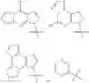 Fig. 65 - Cyclic dinucleotides as anticancer agents