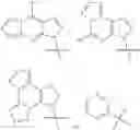 Fig. 68 - Cyclic dinucleotides as anticancer agents