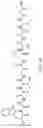 Fig. 11 - Cryptic metabolites and method for activating silent biosynthetic gene clusters in actinomycete bacteria