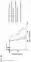 Fig. 13 - Gene therapy for tuberous sclerosis