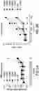 Fig. 03 - Peptides and compositions for treatment of joint damage