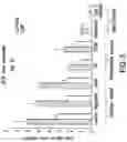 Fig. 04 - Peptides and compositions for treatment of joint damage