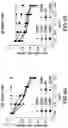 Fig. 05 - Peptides and compositions for treatment of joint damage