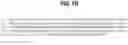 Fig. 03 - B7-RELATED NUCLEIC ACIDS AND POLYPEPTIDES USEFUL FOR IMMUNOMODULATION