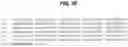 Fig. 14 - B7-RELATED NUCLEIC ACIDS AND POLYPEPTIDES USEFUL FOR IMMUNOMODULATION