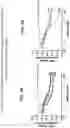 Fig. 04 - Isoform-selective TGFβ1 inhibitors and use thereof